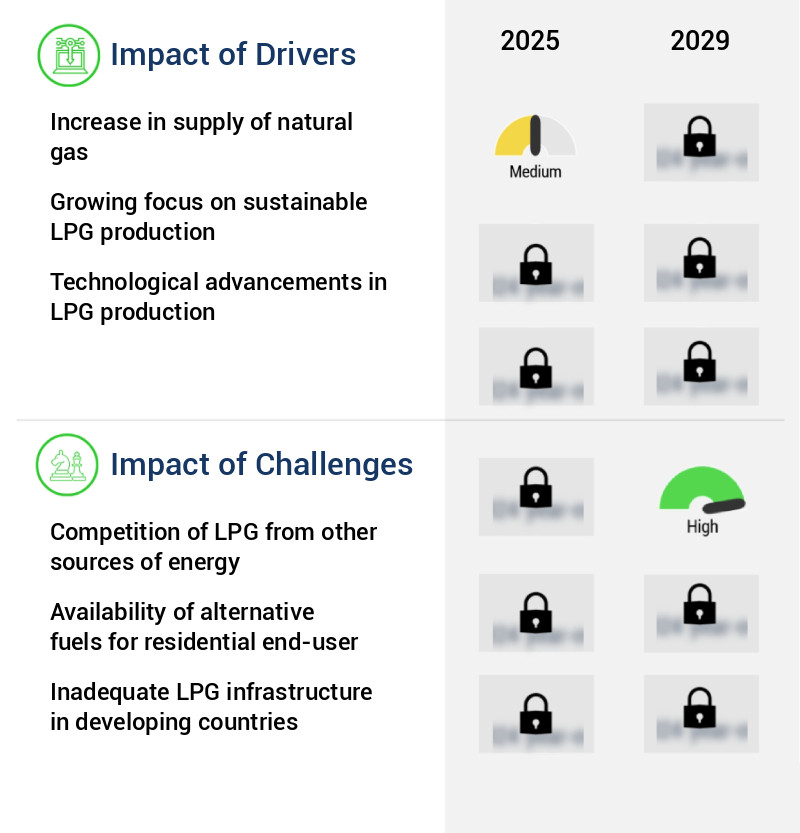 Liquefied Petroleum Gas (LPG) Market Size