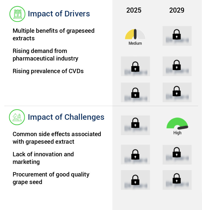 Grapeseed Extract Market Size
