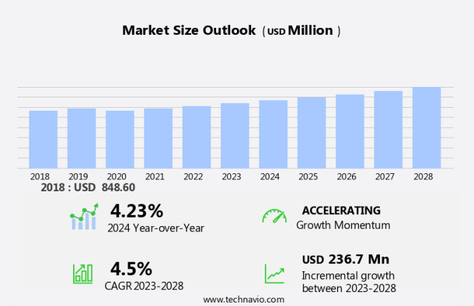 Shoe Deodorizer Market Size