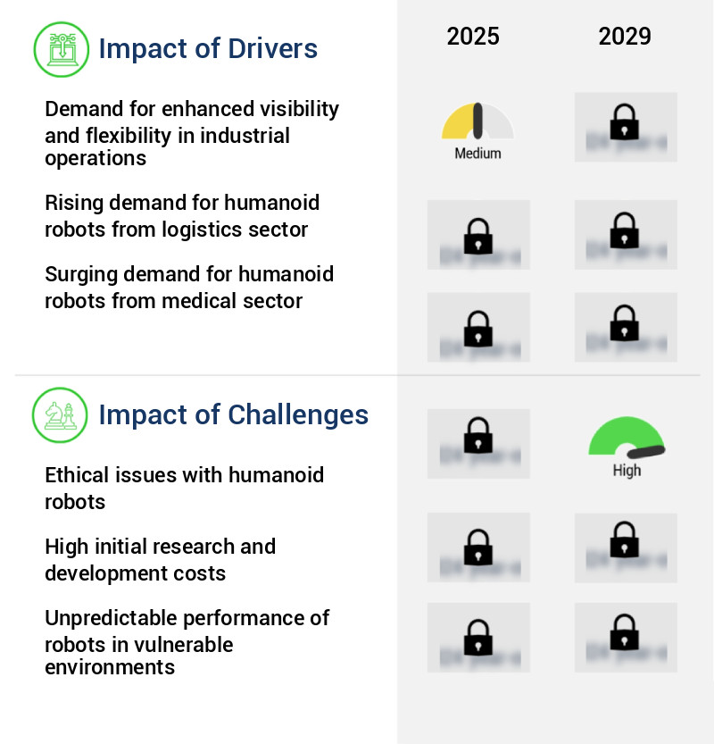 Humanoid Robot Market Size