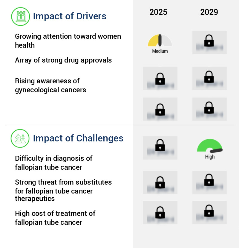 Fallopian Tube Cancer Therapeutics Market Size