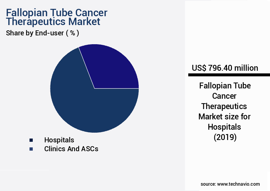 Fallopian Tube Cancer Therapeutics Market Size