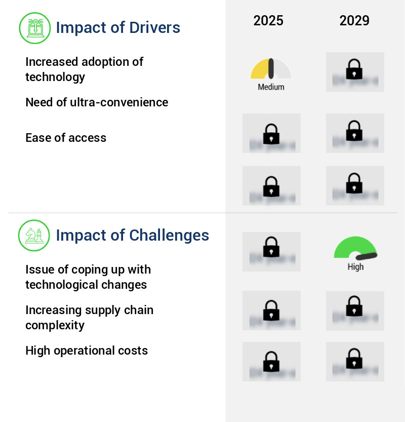 Instant Grocery Market Size