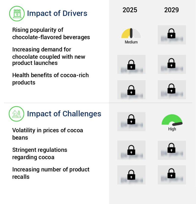 Cocoa Beans Market Size