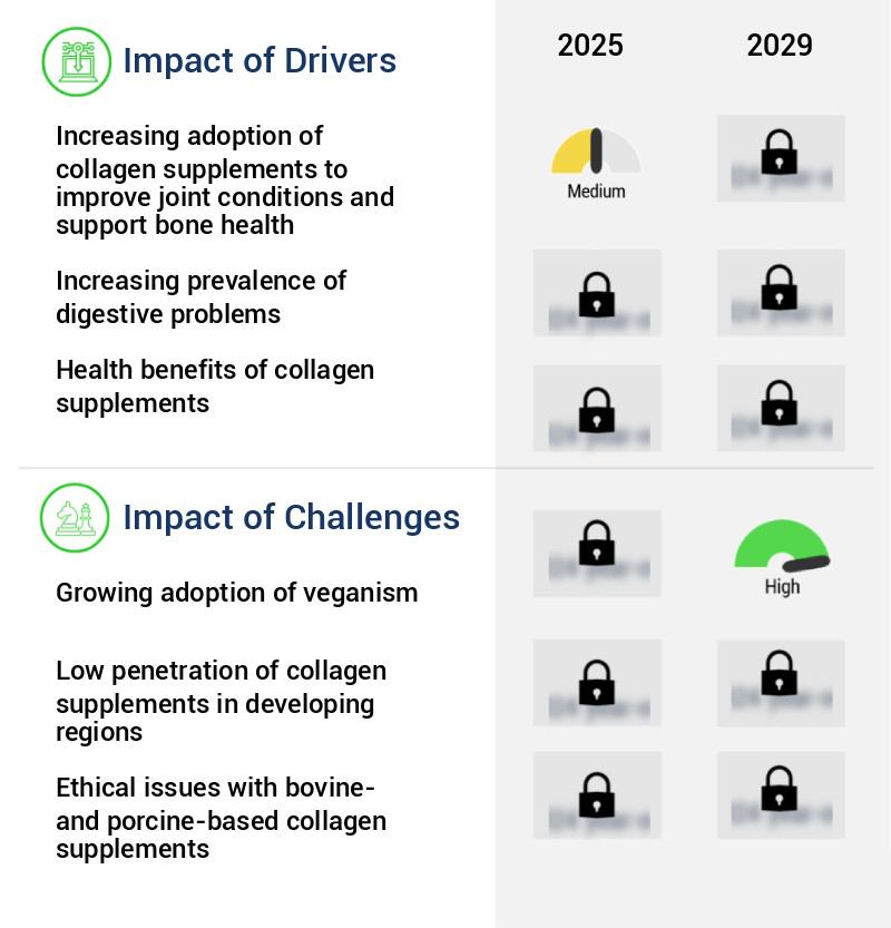 Collagen Supplement Market Size
