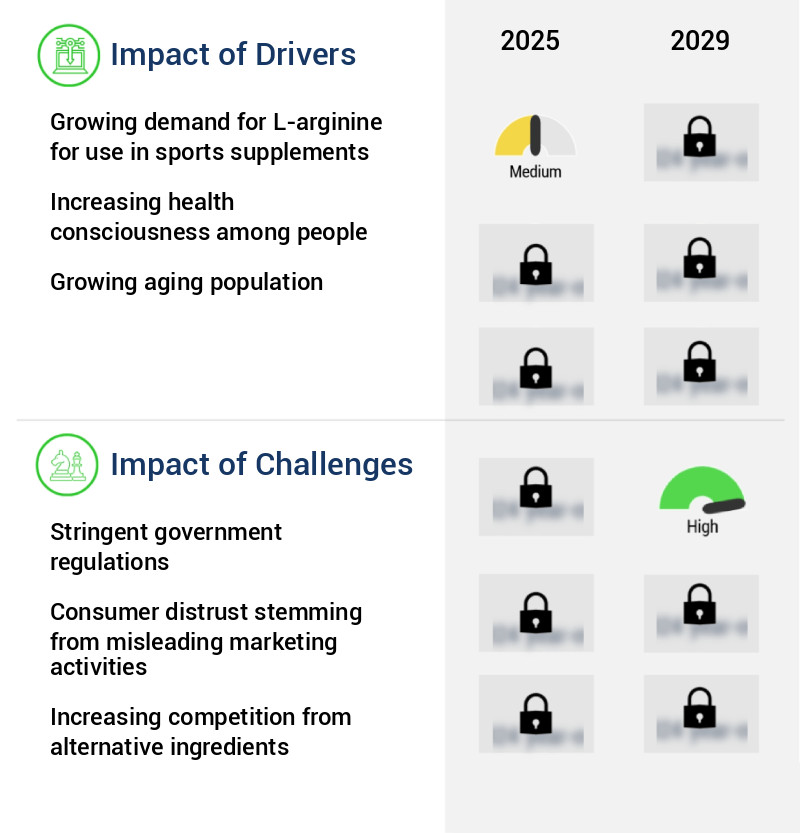 L-Arginine Market Size