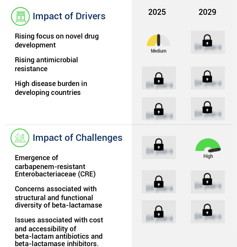 Beta Lactam And Beta Lactamase Inhibitors Market Size