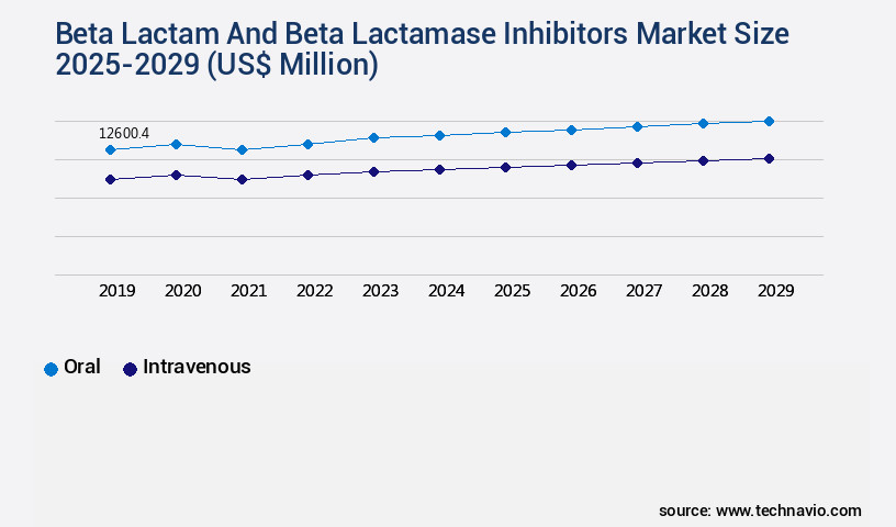 Beta Lactam And Beta Lactamase Inhibitors Market Size