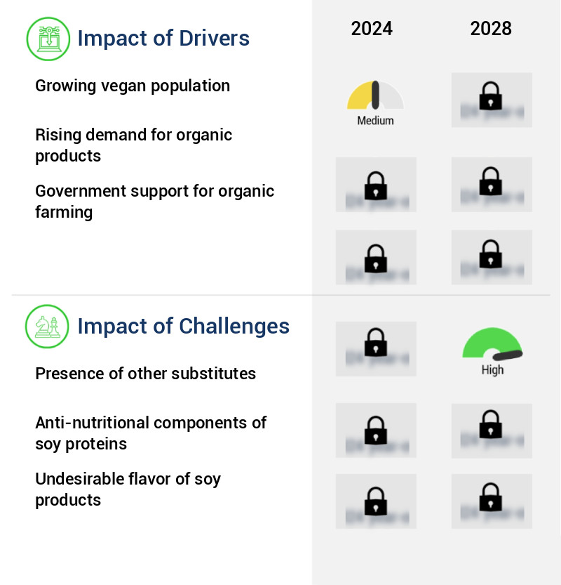 Organic Soy Protein Market Size