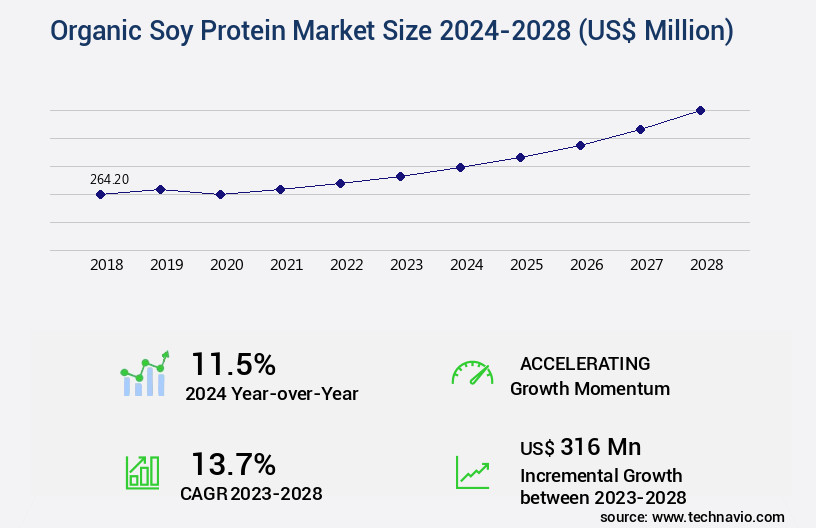 Organic Soy Protein Market Size