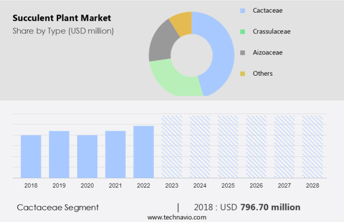 Succulent Plant Market Size