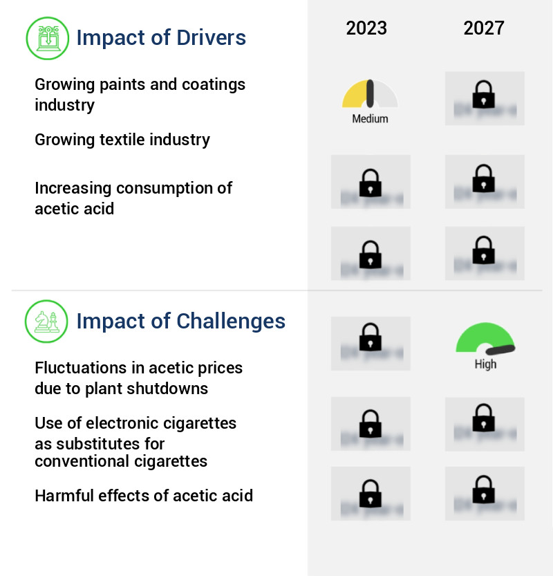 Acetic Acid Market Size