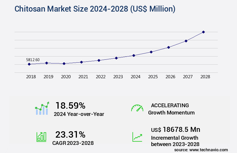 Chitosan Market Size