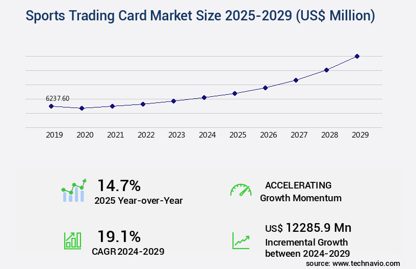 Sports Trading Card Market Size