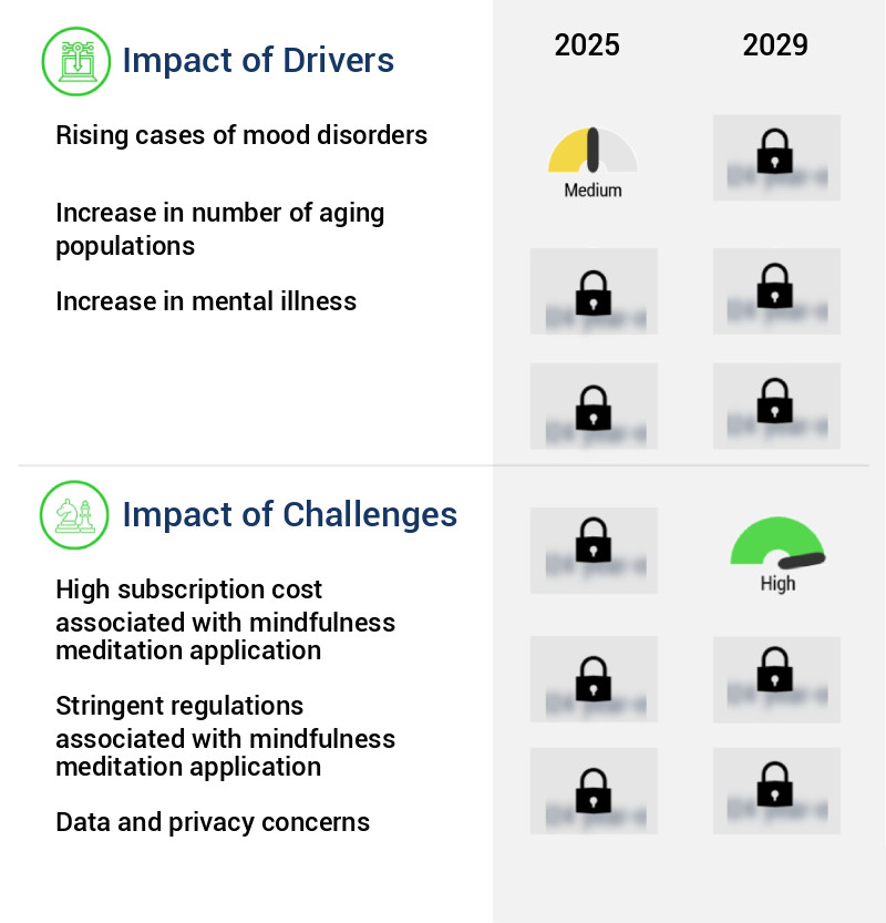 Mindfulness Meditation Application Market Size
