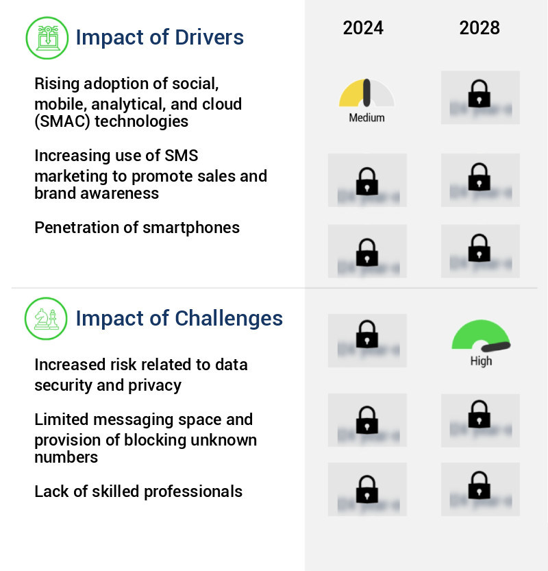 SMS Marketing Software Market Size