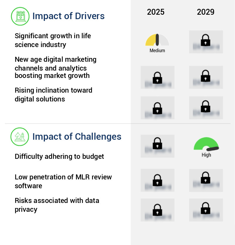 Medical, Legal, And Regulatory (MLR) Review Software Market Size