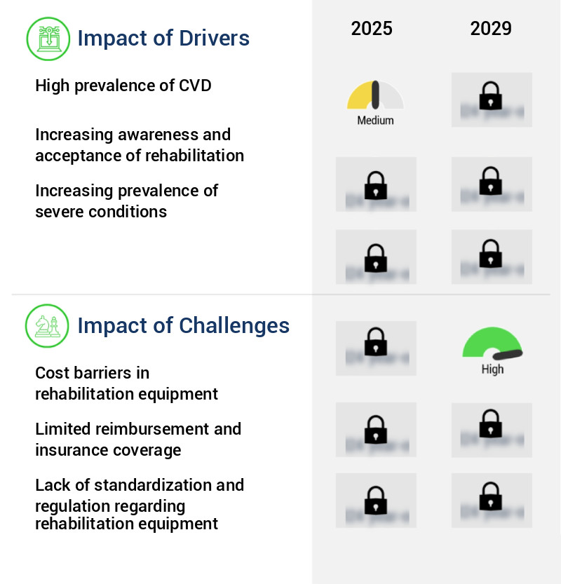 Rehabilitation Equipment Market Size