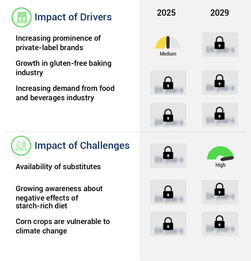 Corn Starch Market Size