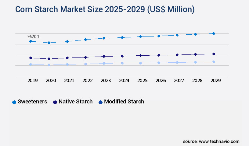 Corn Starch Market Size