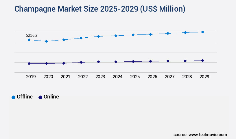 Champagne Market Size