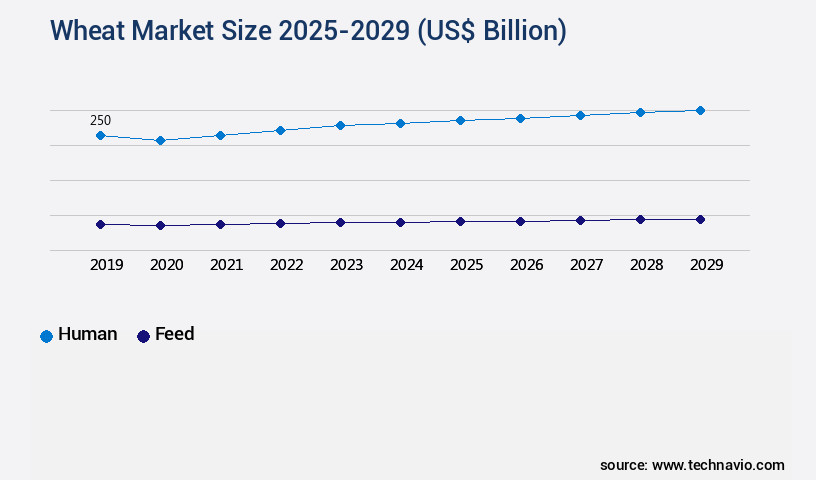 Wheat Market Size