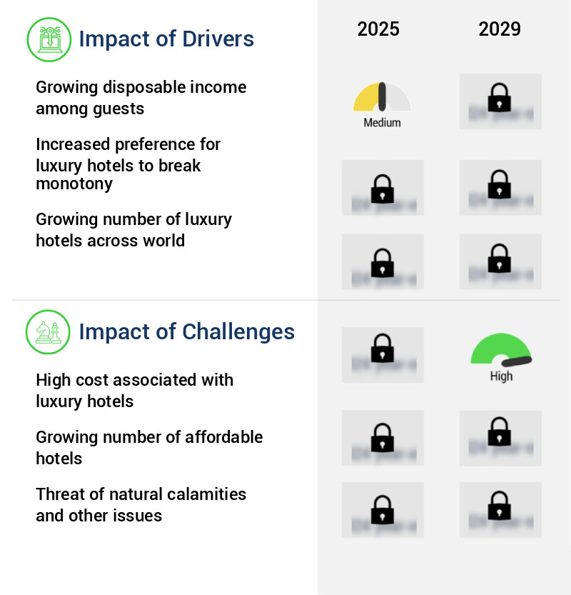 Luxury Hotel Market Size