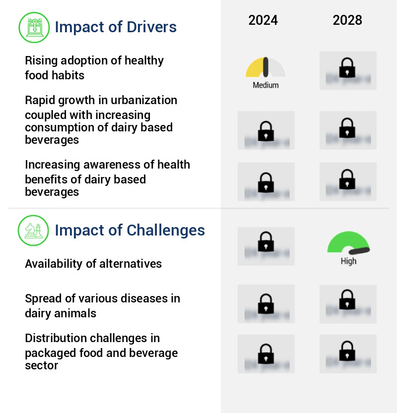 Dairy Based Beverages Market Size