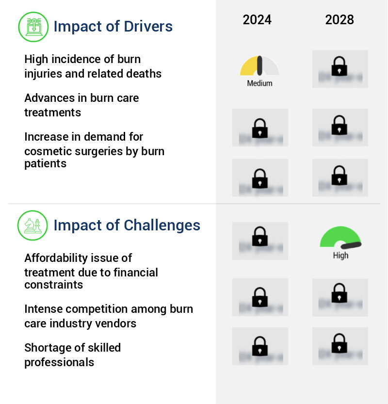 Burn Care Market Size