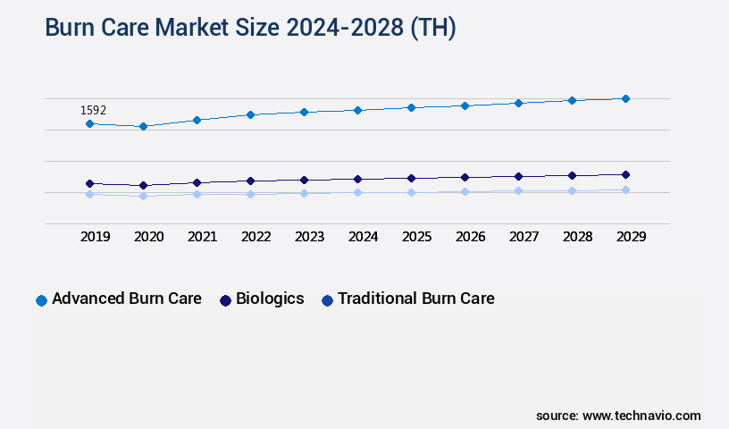Burn Care Market Size