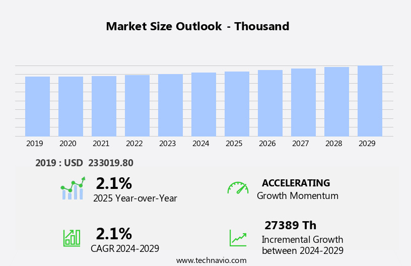 Ibuprofen Active Pharmaceutical Ingredient (API) Market Size