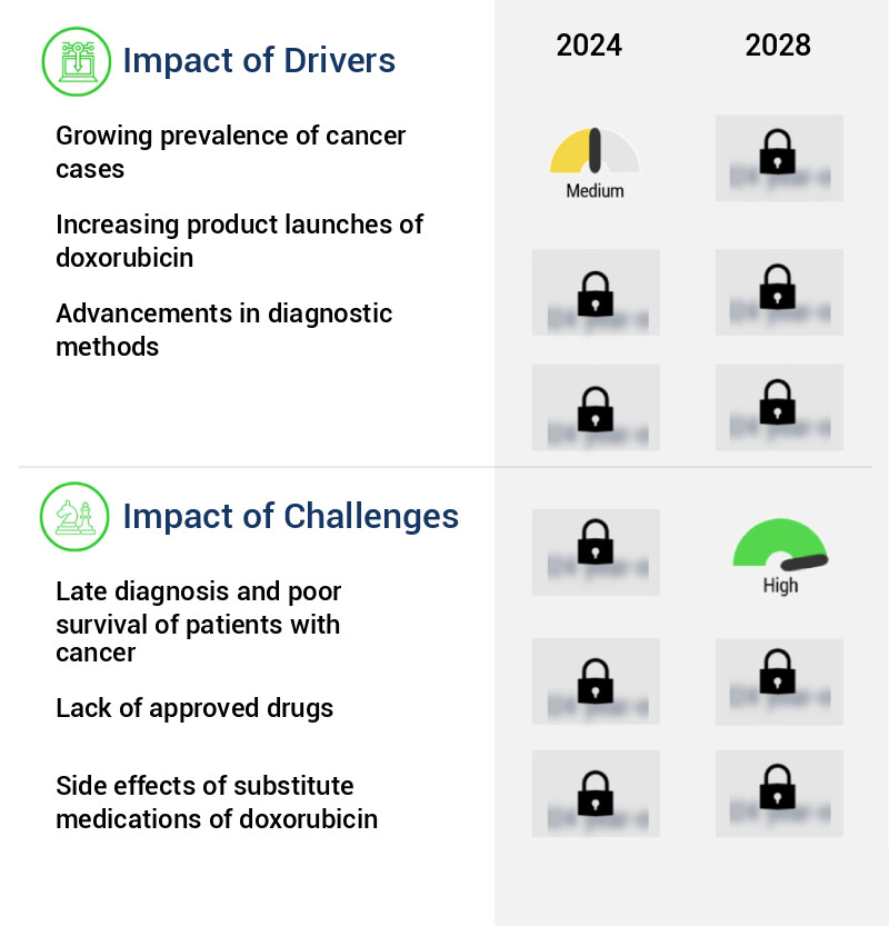 Doxorubicin Market Size