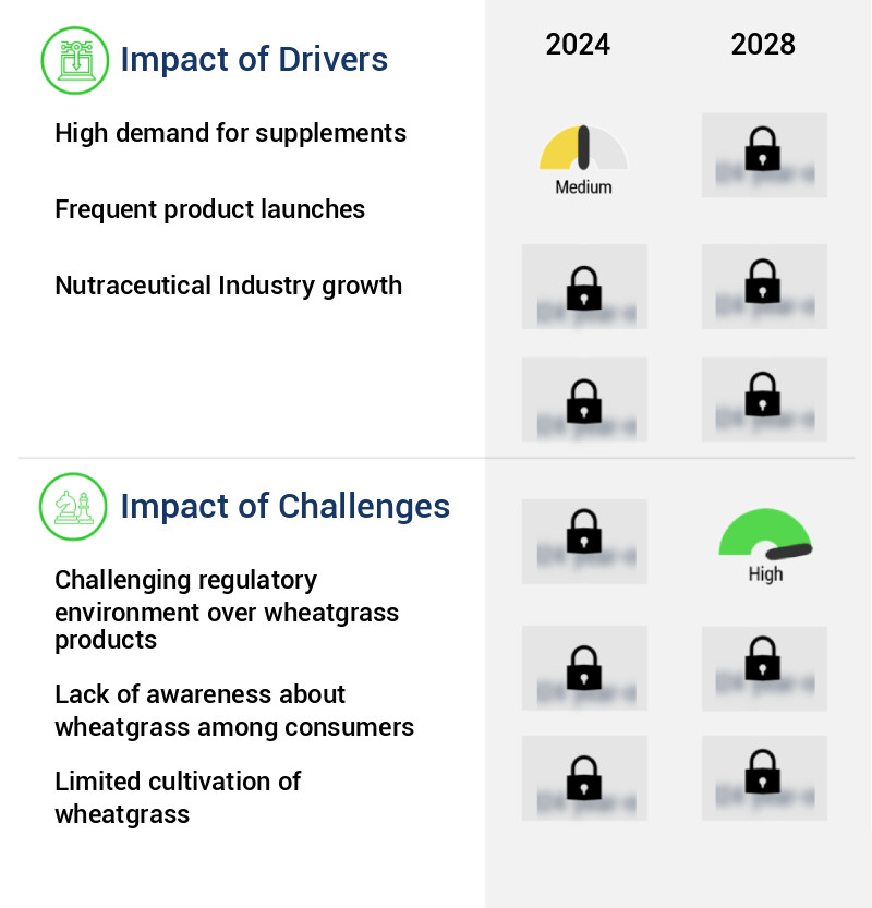 Wheatgrass Products Market Size