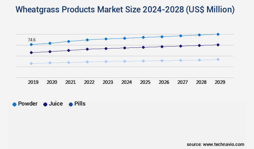 Wheatgrass Products Market Size