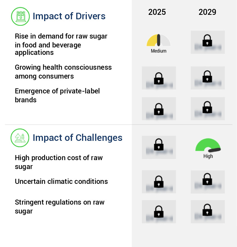 Raw Sugar Market Size