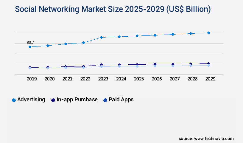 Social Networking Market Size