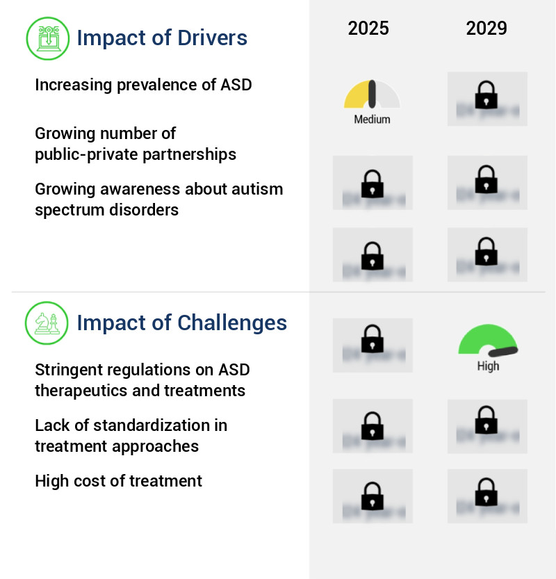 Autism Spectrum Disorder Therapeutics Market Size
