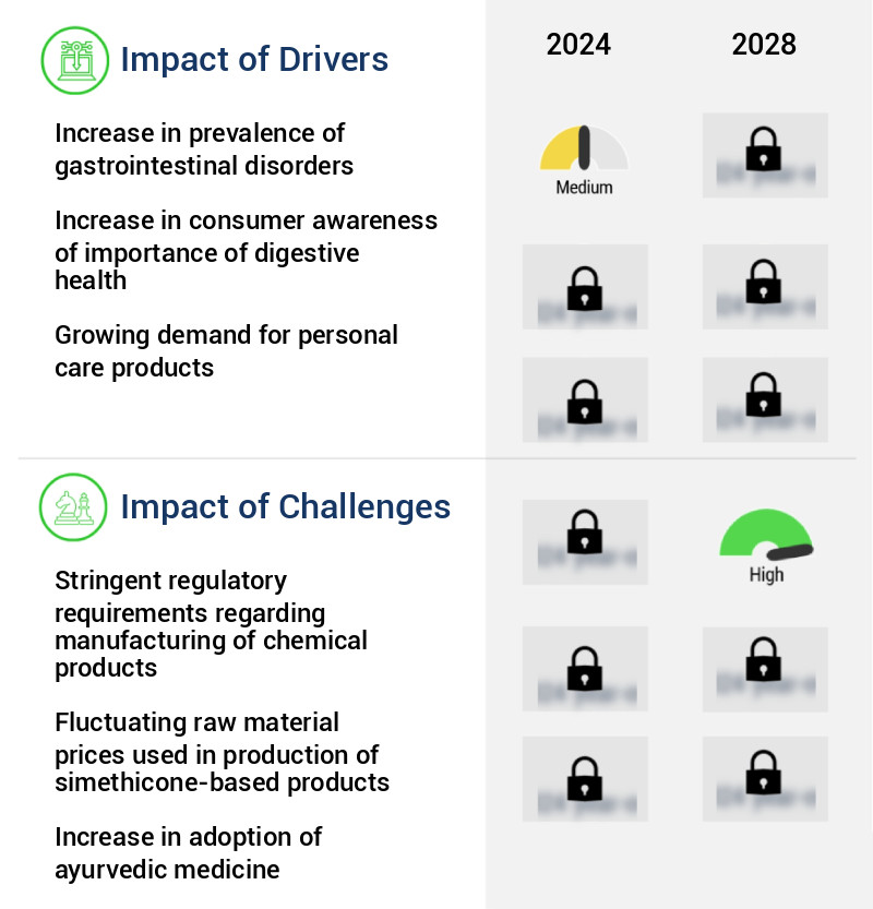 Simethicone Market Size