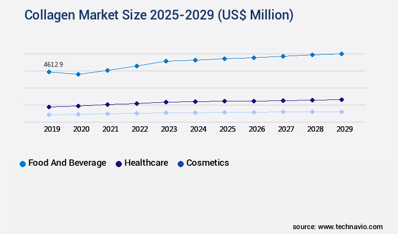 Collagen Market Size