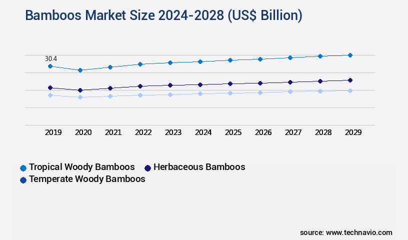 Bamboos Market Size