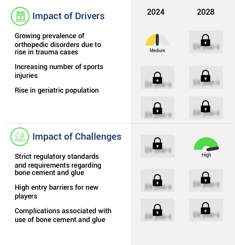 Bone Cement Glue Market Size