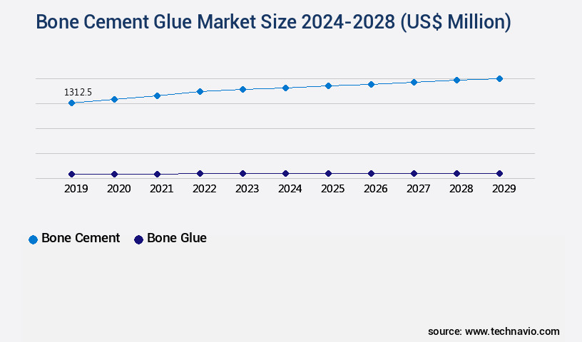 Bone Cement Glue Market Size