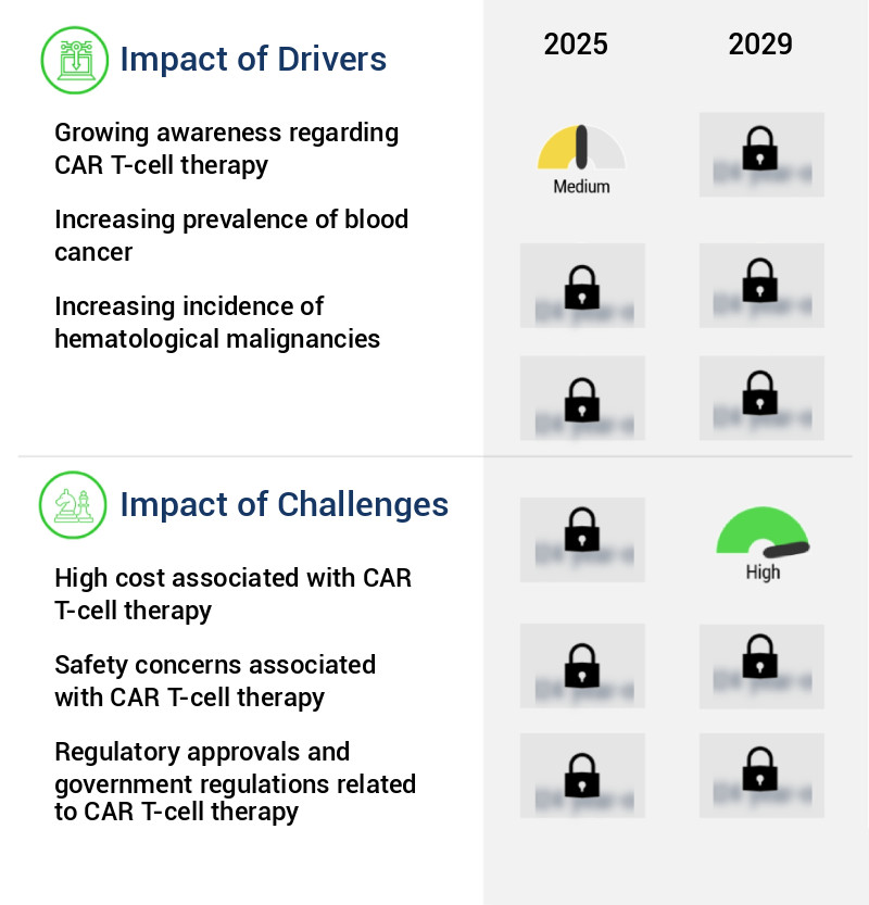 Car T-Cell Therapy Market Size