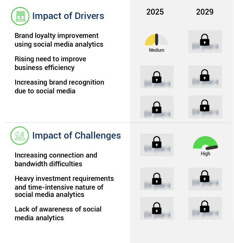 Social Business Intelligence Market Size