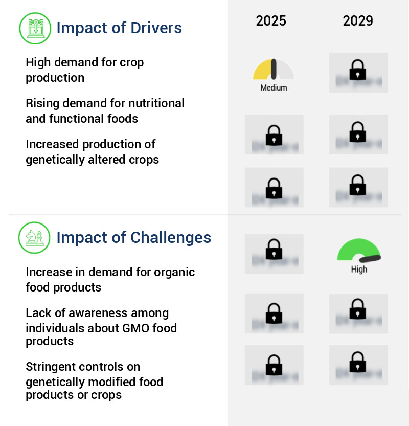 Genetically Modified (GMO) Food Market Size