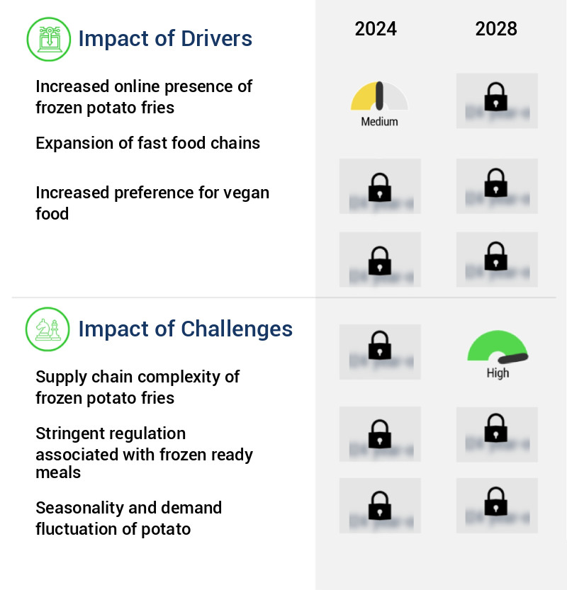 Frozen Potato Fries Market Size