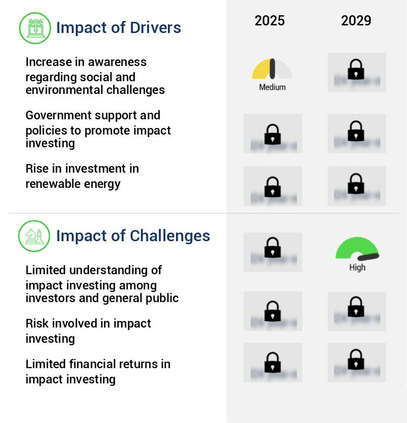 Impact Investing Market Size