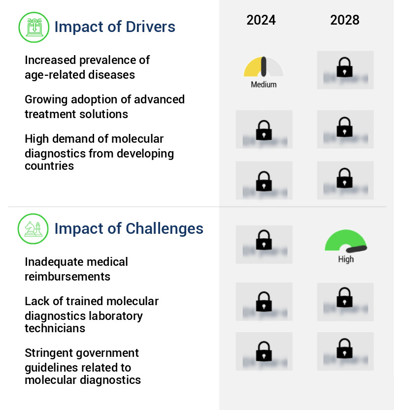 Molecular Diagnostics Market Size