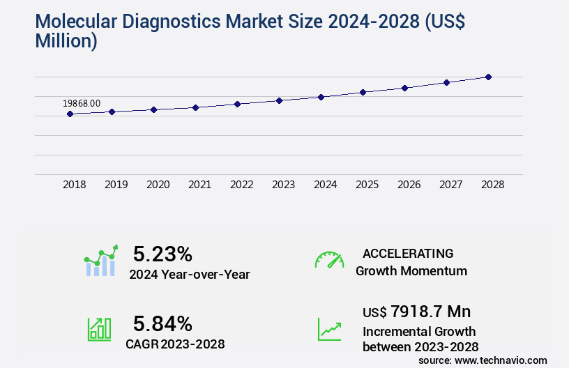 Molecular Diagnostics Market Size