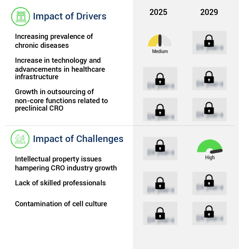 Preclinical CRO Market Size